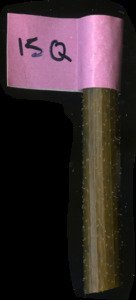 primarybranch