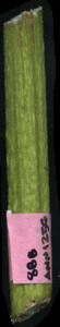 primarybranch