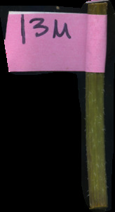 primarybranch