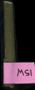 primarybranch