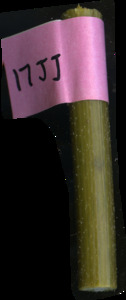 primarybranch
