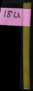 primarybranch
