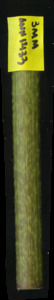 primarybranch