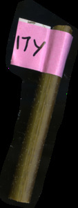 primarybranch