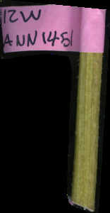 primarybranch
