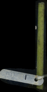primarybranch