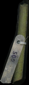 primarybranch