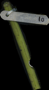 primarybranch