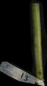primarybranch