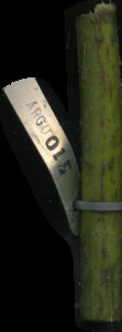 primarybranch