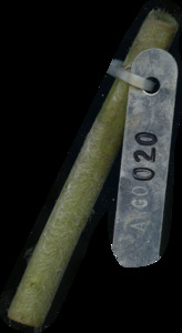 primarybranch