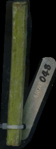 primarybranch