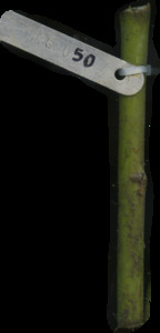 primarybranch