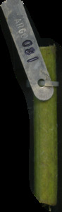 primarybranch