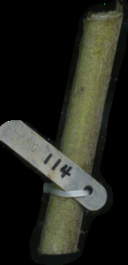 primarybranch