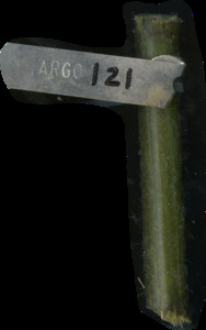 primarybranch