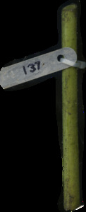 primarybranch