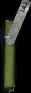primarybranch
