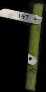 primarybranch