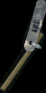 primarybranch