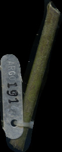 primarybranch