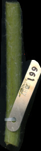 primarybranch