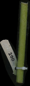 primarybranch