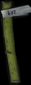 primarybranch