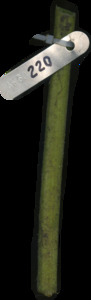 primarybranch