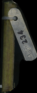 primarybranch