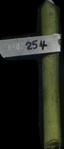 primarybranch