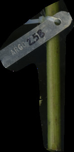 primarybranch