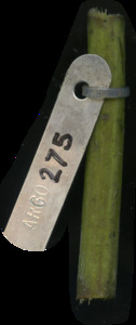 primarybranch