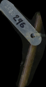 primarybranch