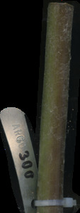primarybranch