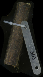 primarybranch
