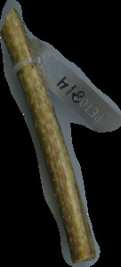 primarybranch