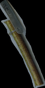 primarybranch