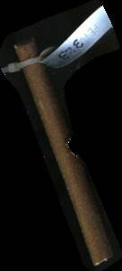 primarybranch