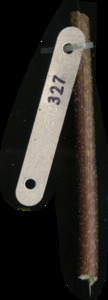 primarybranch