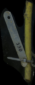 primarybranch