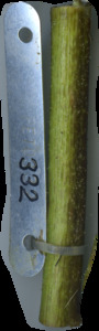 primarybranch