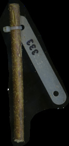 primarybranch