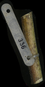 primarybranch