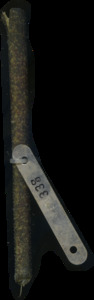 primarybranch