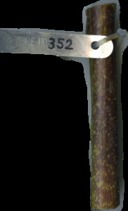 primarybranch