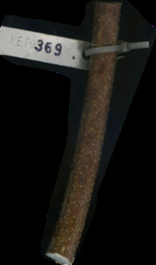 primarybranch