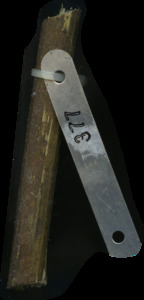primarybranch