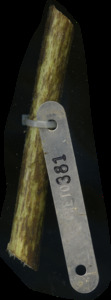 primarybranch
