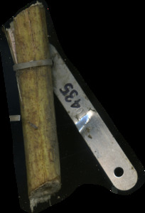 primarybranch